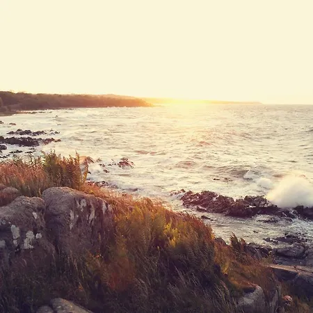 Stammershalle & 4*