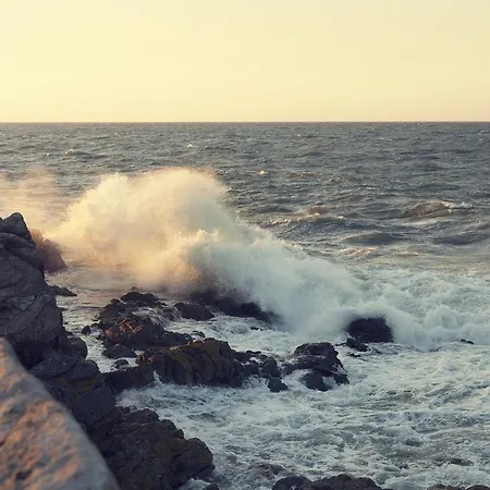 Hotell Stammershalle Bådsted